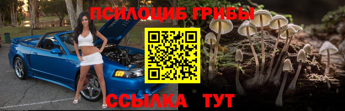 Галлюциногенные грибы прущие грибы Россия
